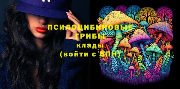 крисы Алексеевка