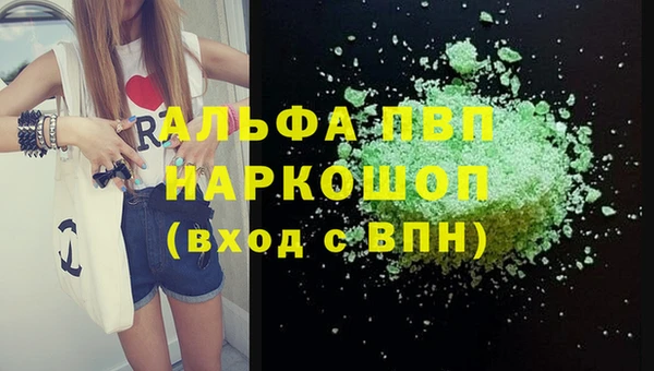 стафф Алзамай