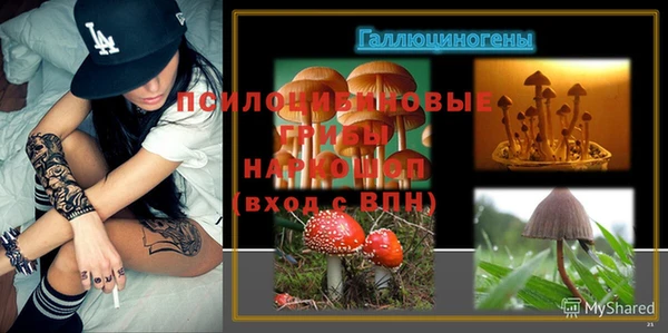 стафф Алзамай