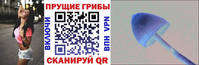 дарк нет наркотические препараты  Тейково  Галлюциногенные грибы ЛСД 